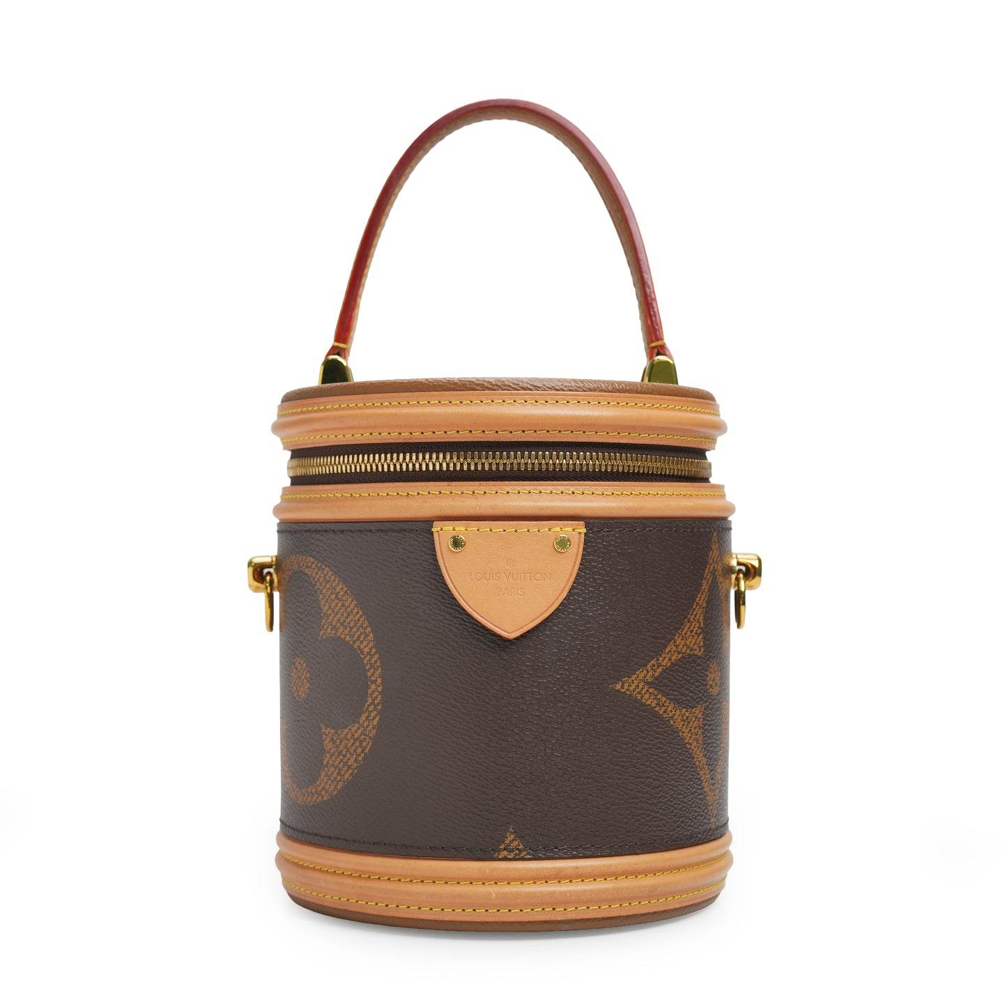 Monogram Giant Canvas Cannes Bag