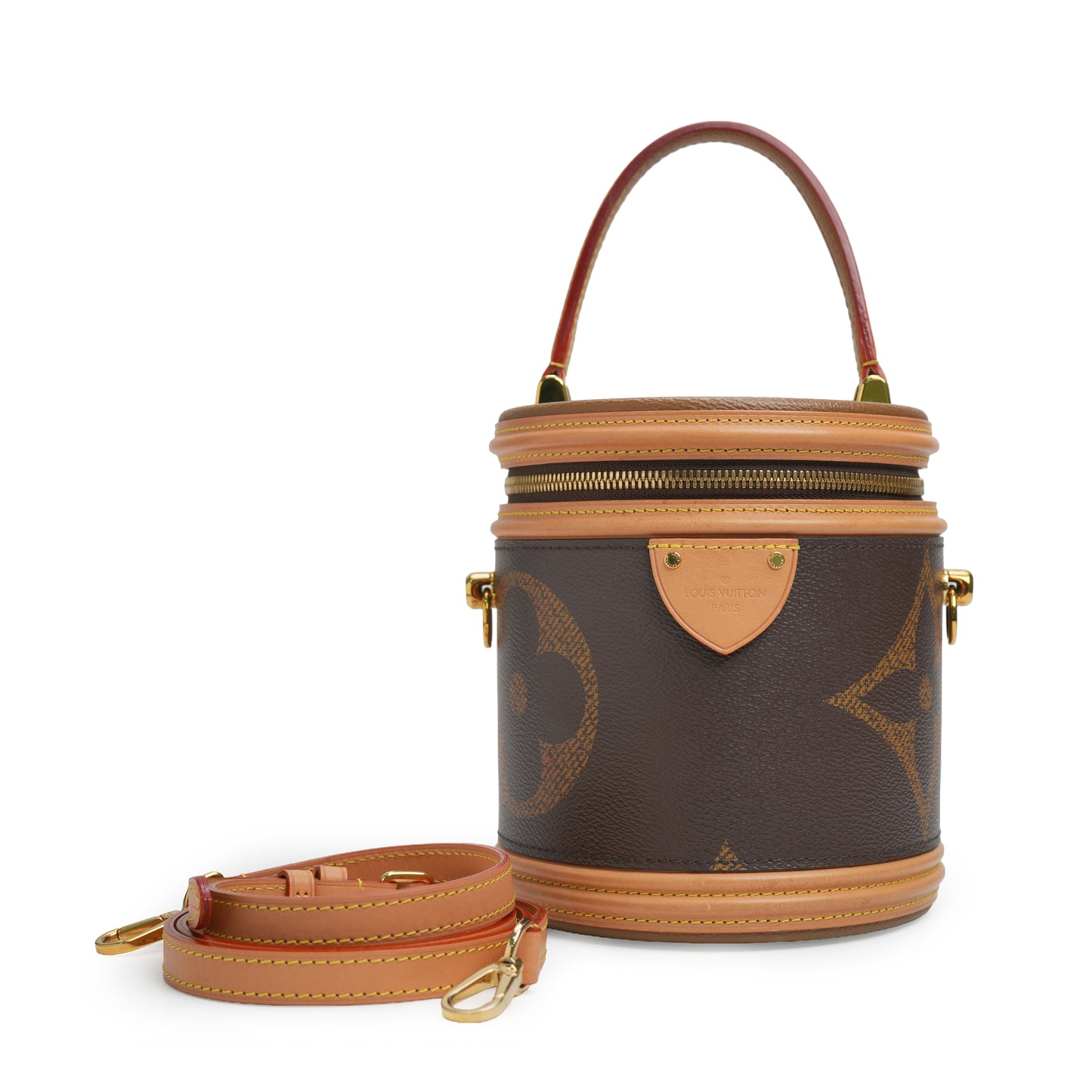 Monogram Giant Canvas Cannes Bag