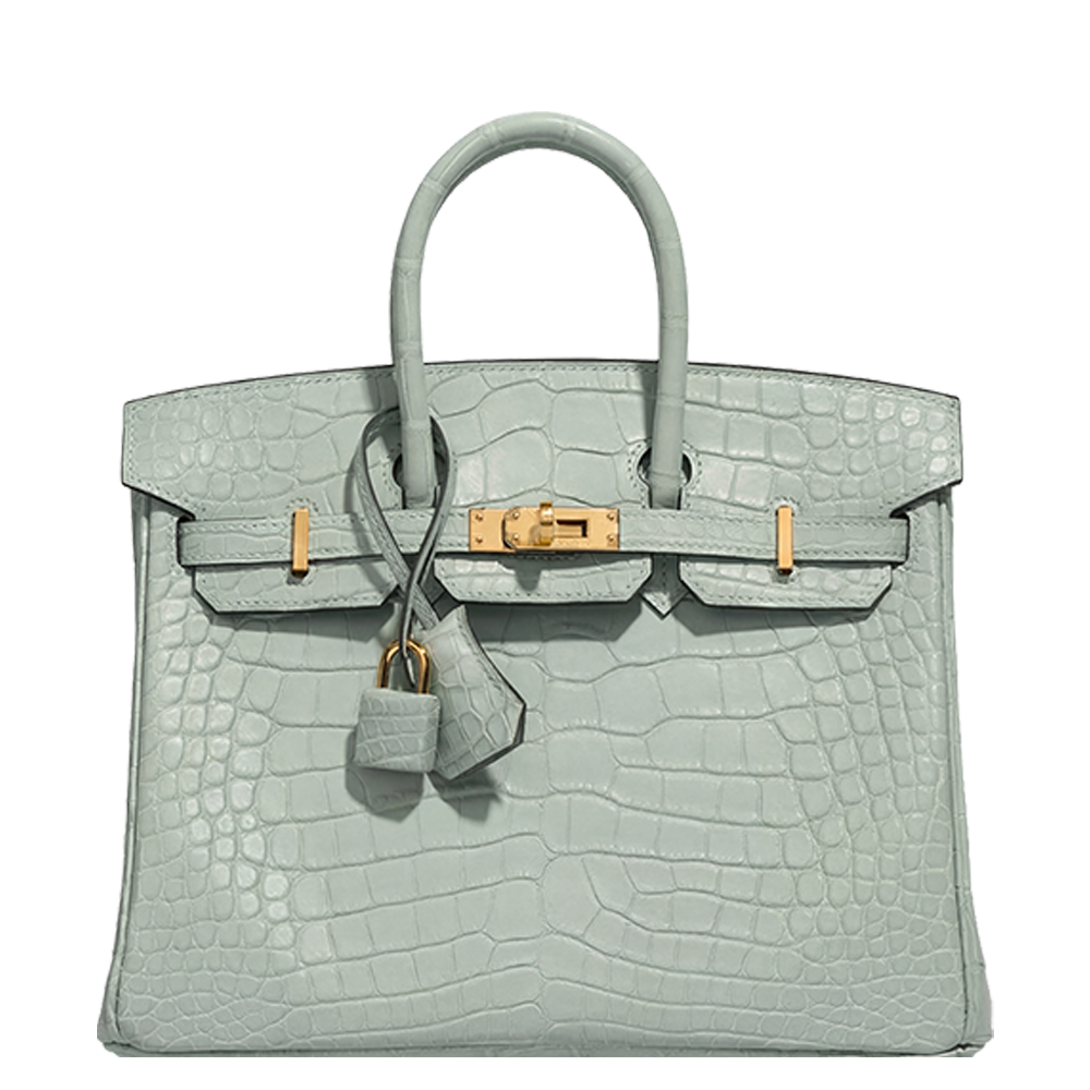 Birkin 25 Matte Alligator Vert d'Eau Gold Hardware Stamp A  2017